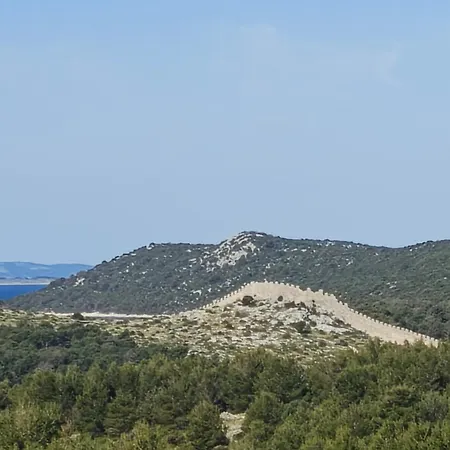 Ana * Grebastica